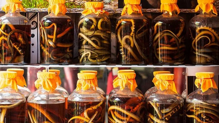 Kuliner Ekstrem China