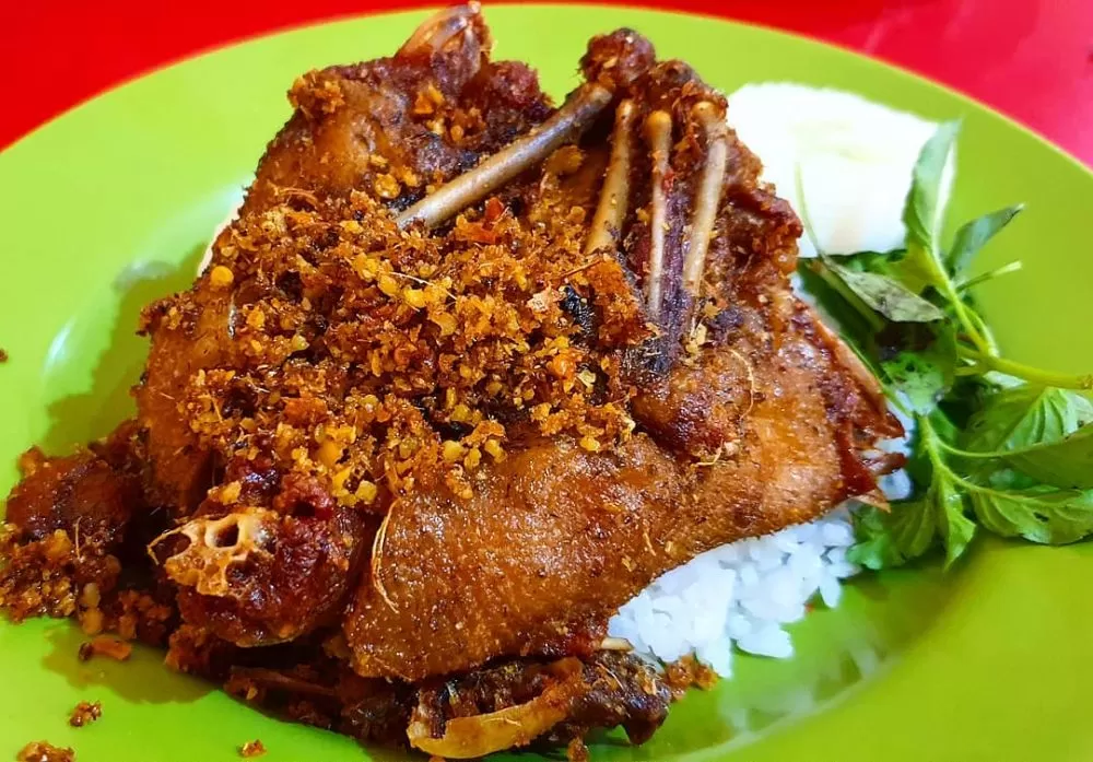 bebek sinjay