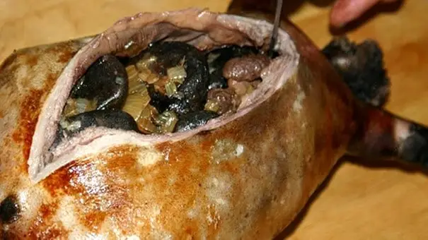 Aroma Busuk
