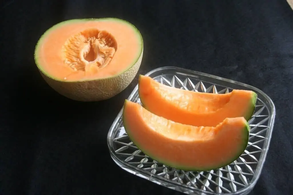 Melon Termahal