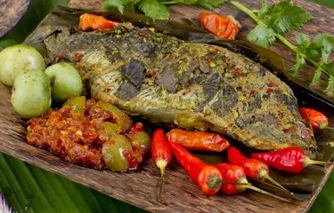 Ikan
